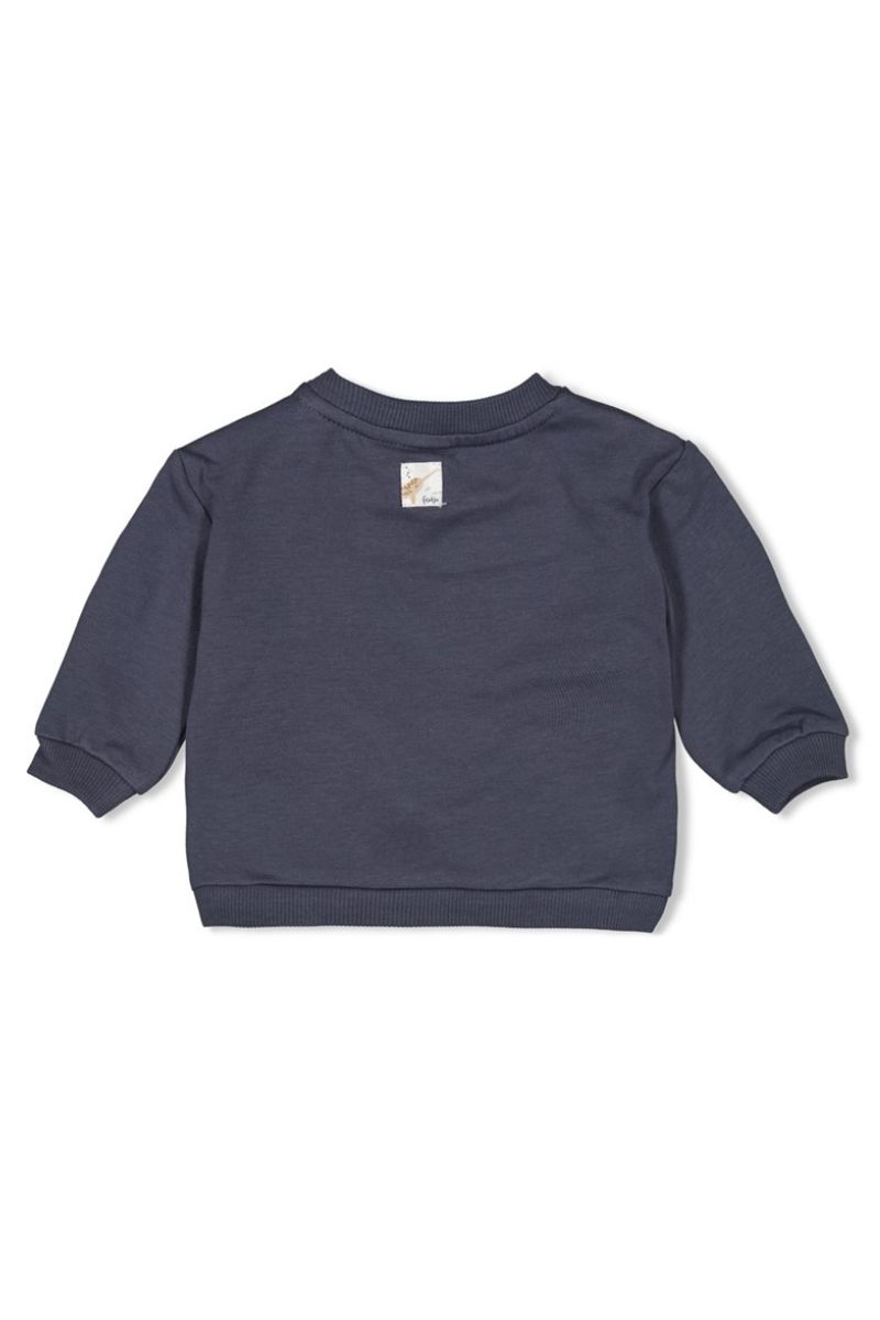Feetje Sweater Narwal Blauwgrijs